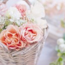 歯科衛生士の求人情報☆お給料が高い(月給25万円以上)歯科医院のご紹介♪